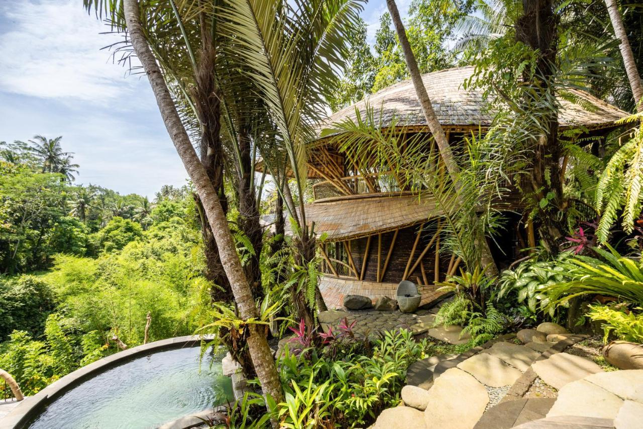 Eclipse House 4Bds Eco Bamboo House Pool Riverview Bringkit Екстериор снимка